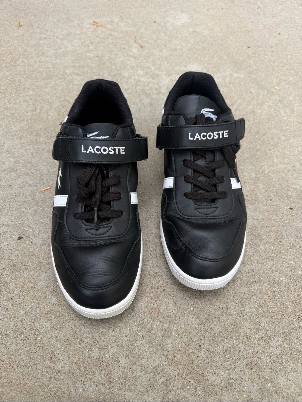 Lacoste men’s Black & White Sneakers